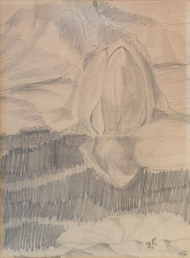 B2019 Smorenberg studietekening waterlelie potloodtekening, beeldmaat 22 x16,5 cm
