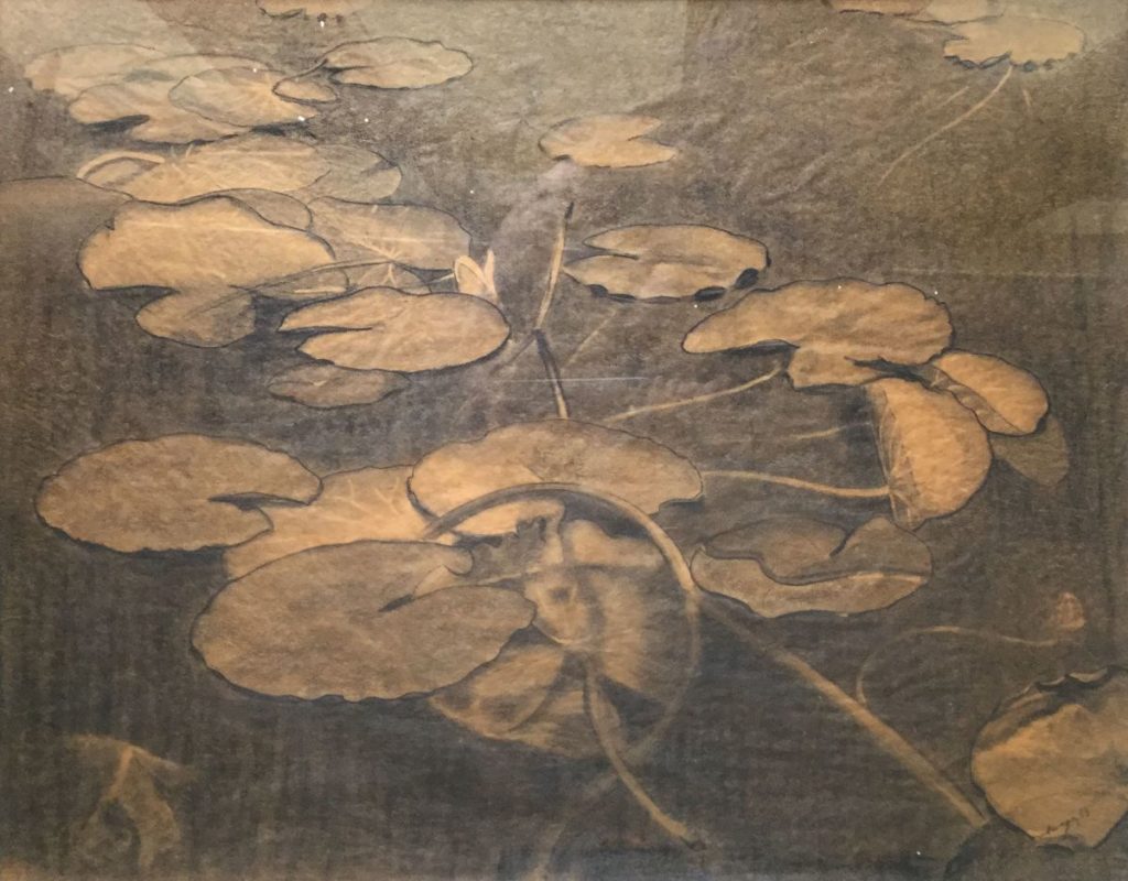 Kunst te koop bij Galerie Wijdemeren van kunstschilder Dirk Smorenberg Waterlelies in de plas houtskool op rijstpapier, 57 x 71.5 cm rechtsonder gesigneerd